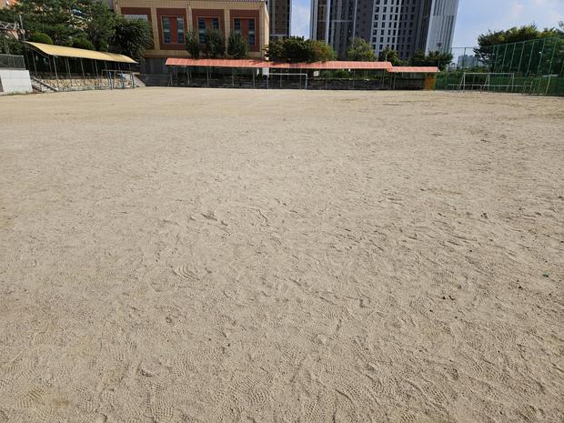 토지면중학교 운동장 소금살포: 전국산업안전으로 걱정 없이 신뢰할 수 있는 프로젝트