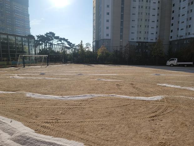 도양읍 소록출장소 운동장 관리, 전문가로 안전하게!