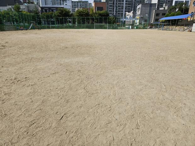 풍양면유치원 운동장 관리: 전국산업안전 핵심, 안전한 놀이 공간 만들어!