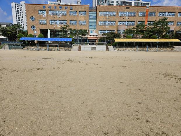 포두면고등학교 운동장 소금살포 전문, 안전 & 품질 최우선!