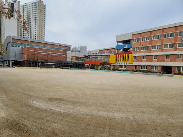 점암면유치원 운동장 관리, 안전과 퀄리티까지 전국산업안전 ? 관련 이미지