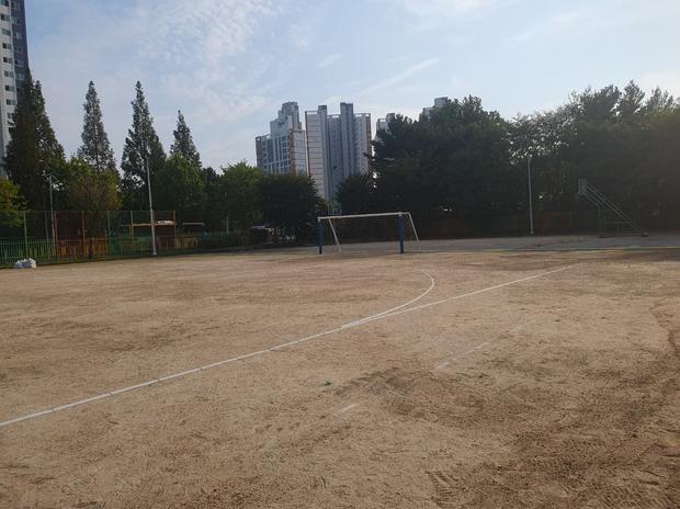 겸백면고등학교 운동장 잡초 제거, 전문가로부터 완벽한 안전 & 효율성!