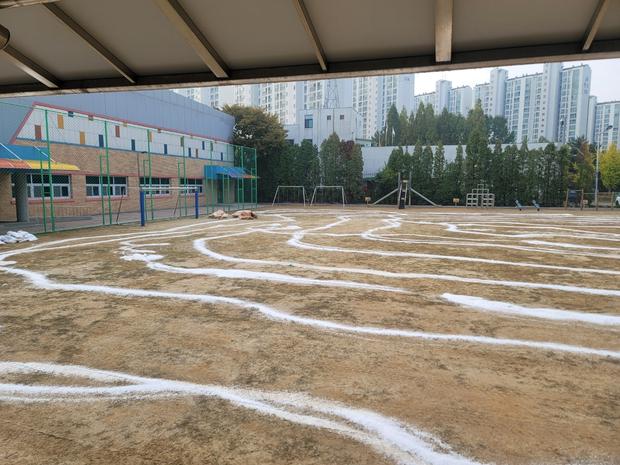 운동장 잡초 제거, 안전 & 정돈까지! 학교 시설관리 전문가가 알려줄  핵심 키워드