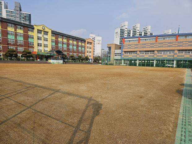 화순읍고등학교 운동장 관리, 안전과 품질 최우선! 전문 시공으로 건강하고 활기찬 장소...