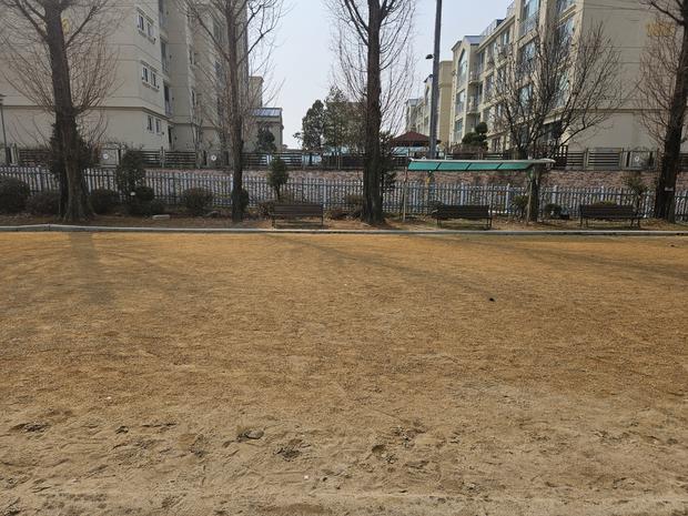 화순읍고등학교 운동장 소금살포: 전문 시공으로 안전하고 쾌적한 공간 만들어보세요!