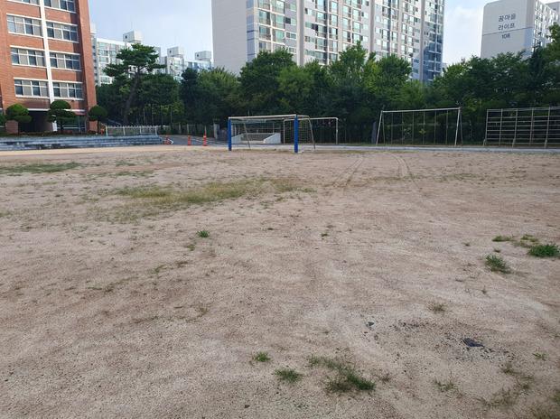 도암면어린이집 운동장 잡초 제거! 전문 시공으로 안전하고 쾌적한 공간 만들기