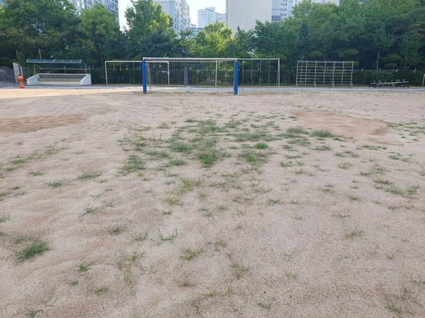 학교 운동장 잡초 제거: 전국산업안전으로 깨끗하고 안전한 놀이터 만들기!