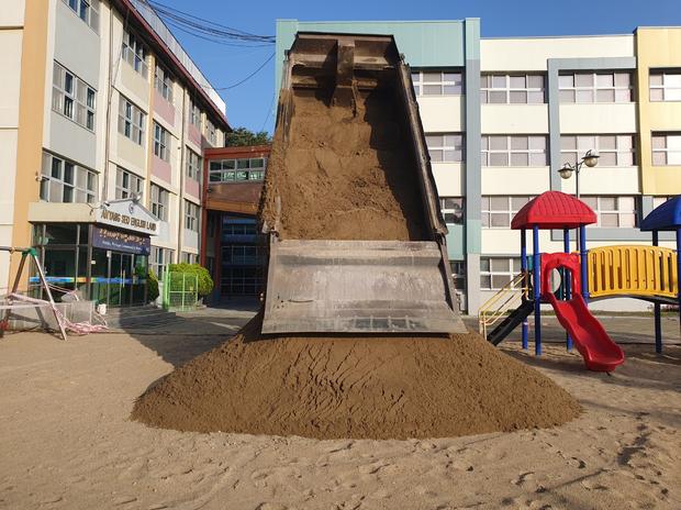 장동면초등학교 운동장 잡초 제거: 전문 시공으로 안전하고 깨끗한 장소 만들기!