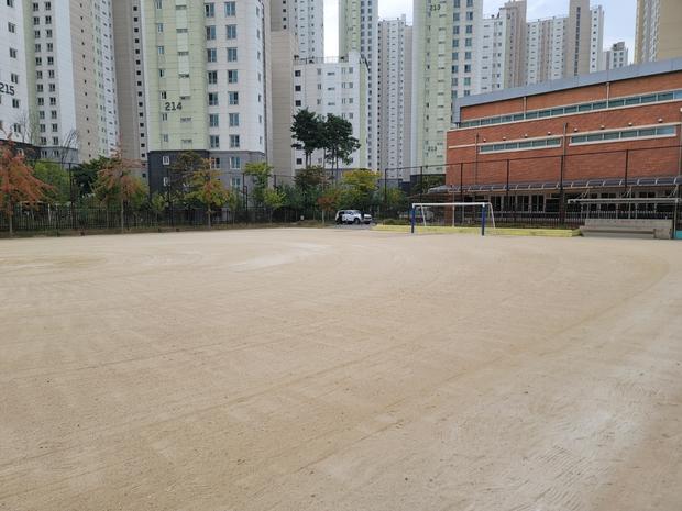 강진군중학교 운동장 잡초 제거, 안전과 오류 방지 전국산업안전이 필요!