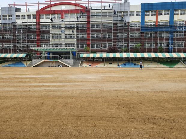 신전면고등학교 운동장 잡초 제거, 전문가를 위한 안전 & 효과적인 방법!