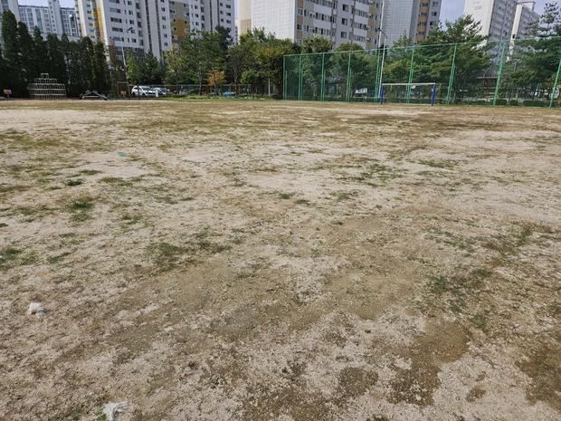 옴천면고등학교 운동장 모래 보충: 전문 시공으로 안전하고 지속 가능한 놀이 공간 만들기 관련 이미지