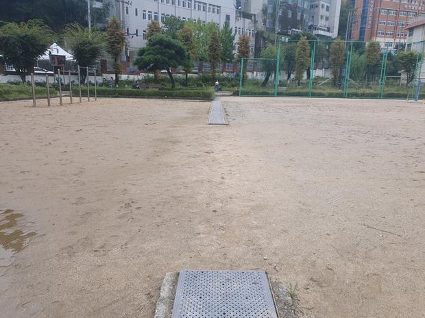 삼호읍서부출장소 어린이집 운동장  관리 전문가로 안전하게 유지보수!