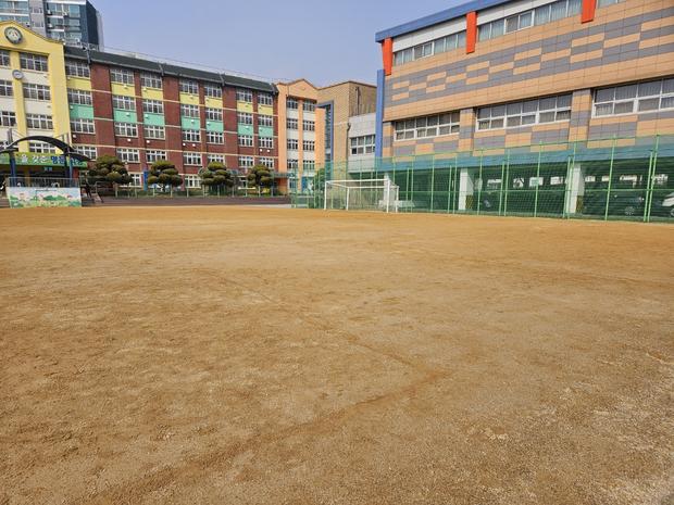 도포면 초등학교 운동장 관리, 안전하게 즐거운 시간 만들어주는 전문가의 조언 관련 이미지