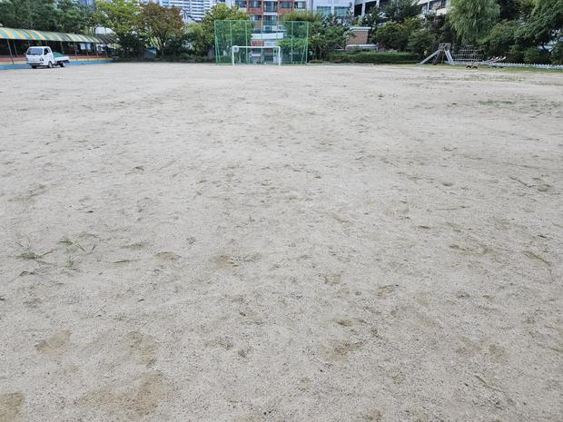 도포면초등학교 운동장 모래보충, 안전과 품질 확보! 전문 시공으로 최선의 결과