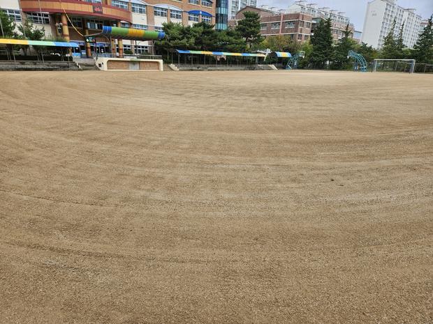 미암면초등학교 운동장 잡초 제거: 전문가로부터 안전하고 효과적인 방법! 관련 이미지