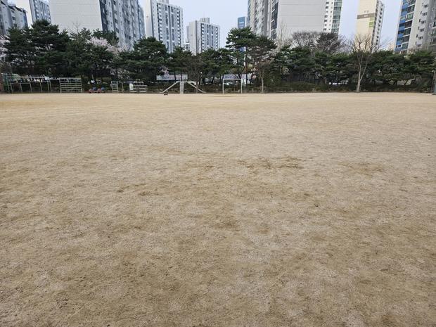 학교 운동장 모래보충: 전국산업안전으로 안전하고 깨끗한 놀이터 만들기!