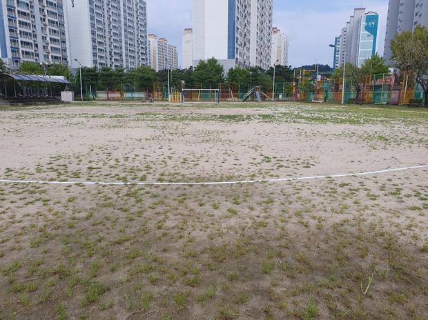신광면유치원 운동장 잡초 제거! 전문가로부터 안전하고 효과적인 방법 알려드립니다.