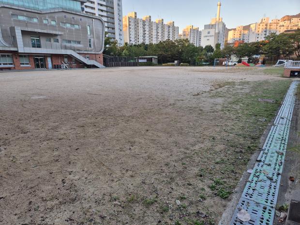 황룡면초등학교 운동장 모래보충: 전문 시공으로 안전하고 튼튼한 놀이터 만들기