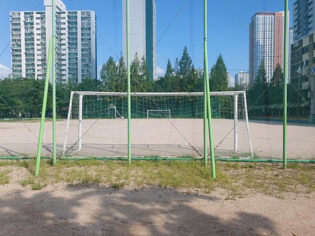 완도군초등학교 운동장 안전관리, 전문 시공으로 걱정 없이 활용하세요!