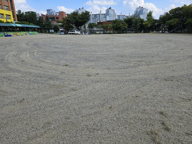 학교 운동장 잡초제거, 안전과 시공에 집중하세요! 전문가의 도움 관련 이미지