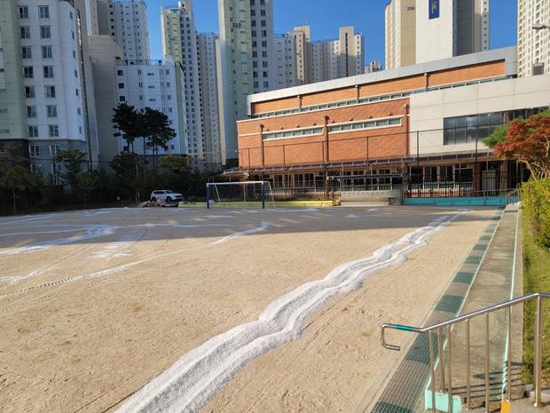 학교 운동장 흑산면태도 출장소 어린이집잡초 제거 전문 시공! 안전, 신뢰를 위한  최...