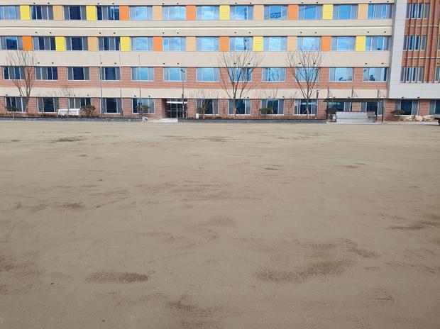 학교 운동장 안전, 전국산업안전으로 소금살포부터 흑산면홍도출장소까지! 관련 이미지