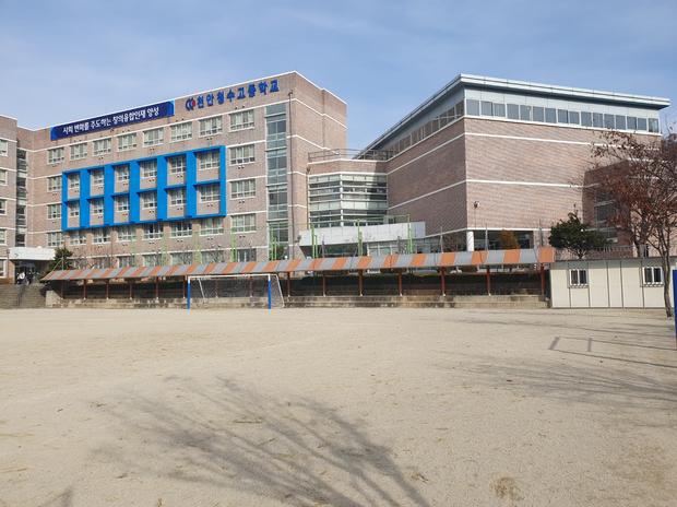 학교 운동장 잡초 제거, 안전 + 정밀한 전국산업안전 ?