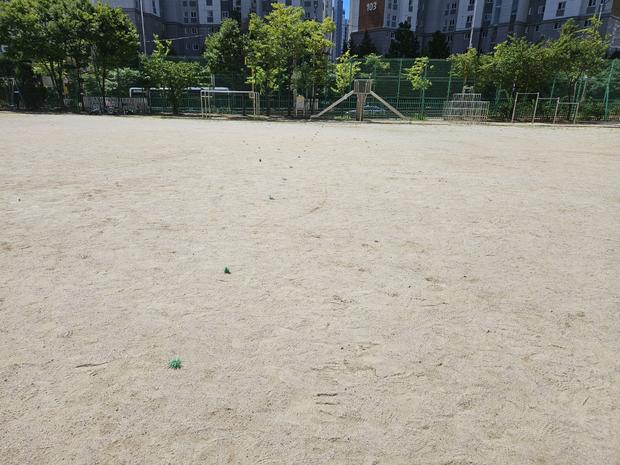 장수군 고등학교 운동장 잡초 관리, 전문 시공으로 건강한 환경 만들어보세요! 관련 이미지