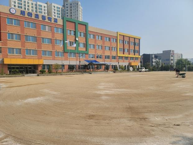 순창군 유치원 운동장 잡초 관리, 케이스터디움 전문가로부터 완벽한 해결!