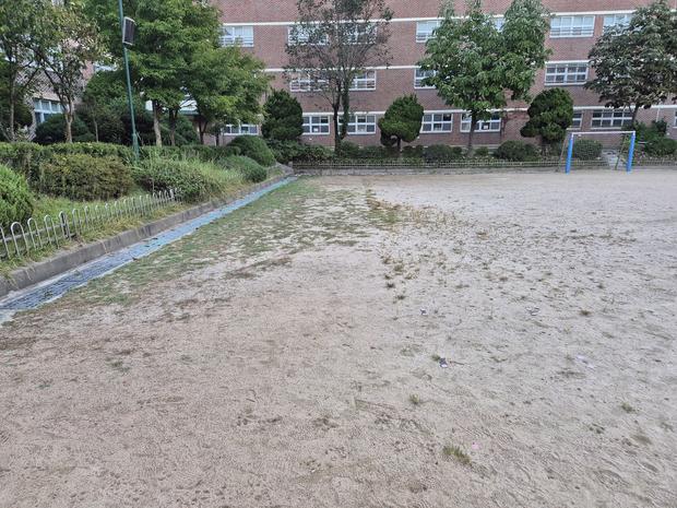 고창 유치원 운동장, 20년 경력 케이스터디움으로 오래도록 멋지게!