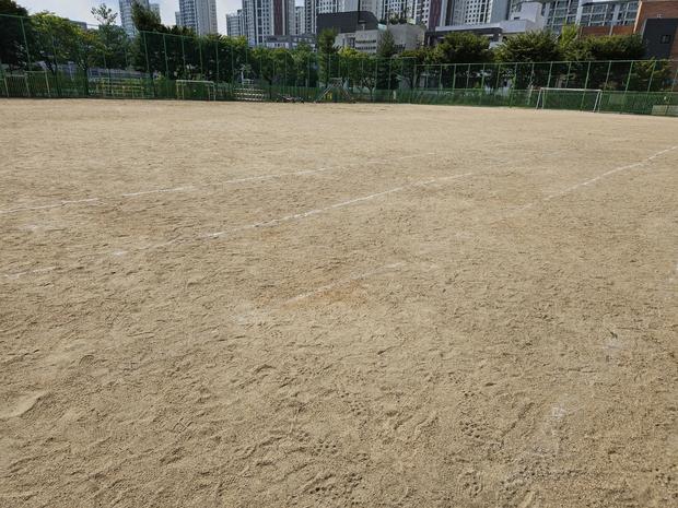 전주 병설유치원 운동장 잡초 관리, 케이스터디움으로 안정적인 환경 만들어줄까?