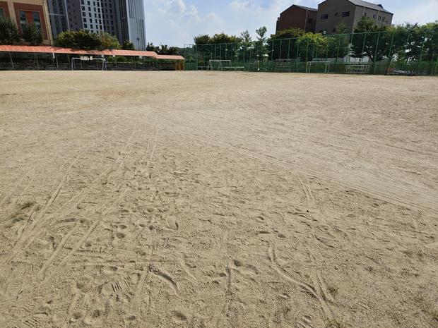 정읍 고등학교 운동장, 20년 경력 케이스터디움으로 최상의 보수 서비스!