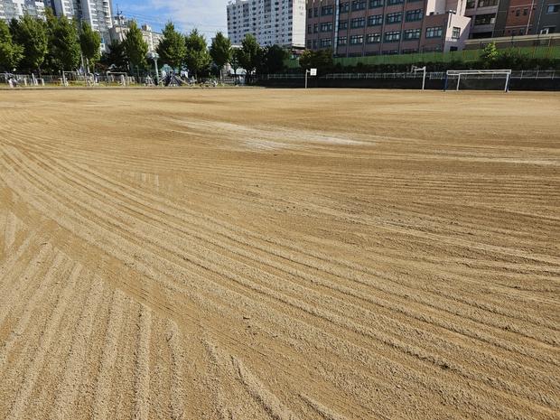 서울고등학교 운동장 관리,  전문성으로 건강한 스포츠 환경 만들어 줄까?