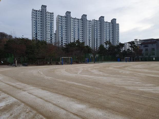 과천초등학교 운동장 라인 포인트 제거, 1년 만에 완벽하게! 케이스터디움