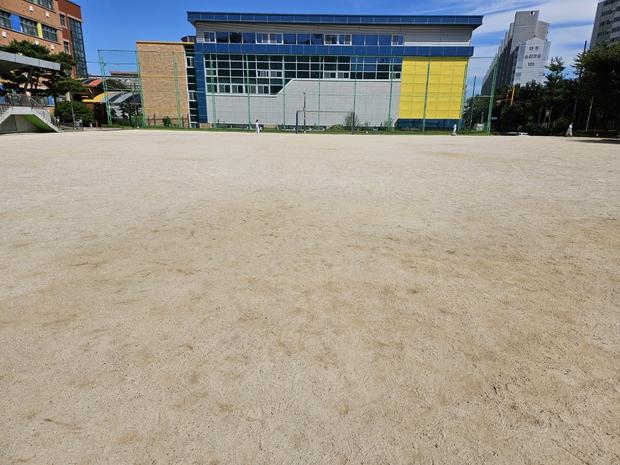 과천중학교 운동장 잡초 제거: 전문 시공으로 신뢰를 위한 최적화!
