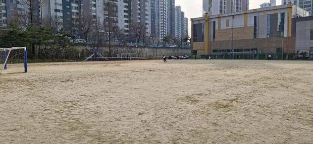 과천 어린이집 운동장 잔돌 제거: 전문 시공으로 건강하고 아름다운 공원 만들기