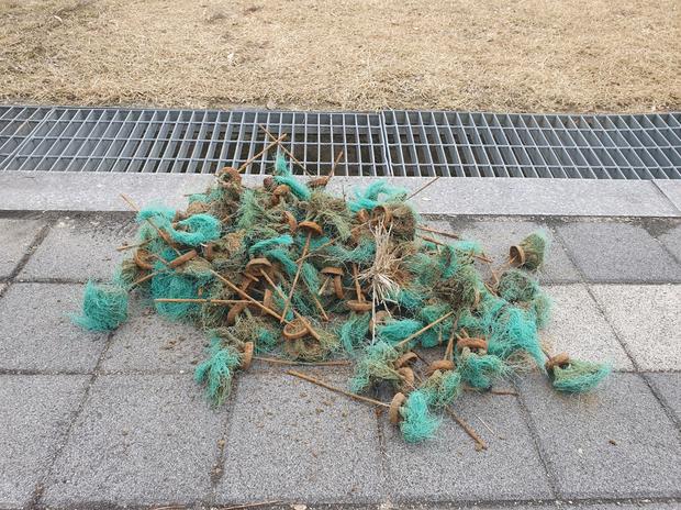 경기초등학교 운동장 롤러 작업, 안전하고 효율적으로! 케이스터디움으로!