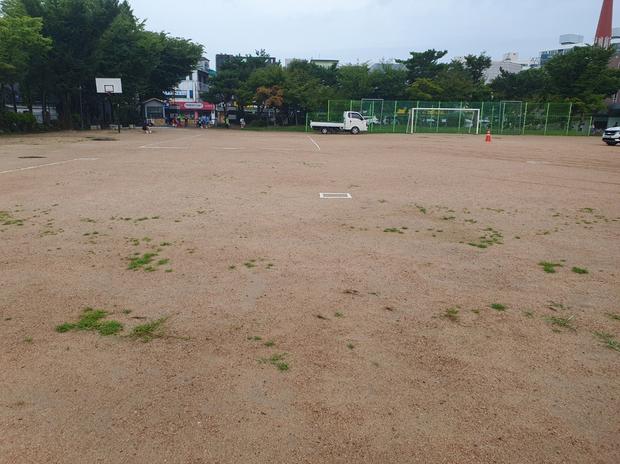 경기초등학교 운동장 바브켓 재설계, 케이스터디움 전문가로 완성하세요!