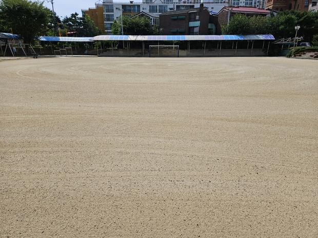 경기초등학교 운동장 마사토 충진공사: ? 탁월한 성능, ? 안전성까지, 케이스터디움에...
