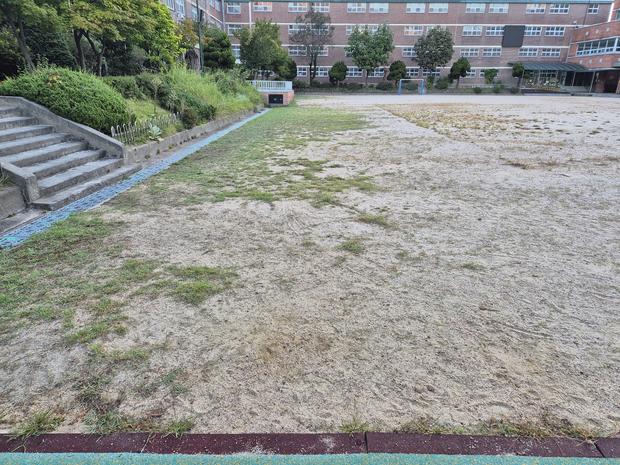 학교 운동장 관리, 걱정 없이 케이스터디움으로!