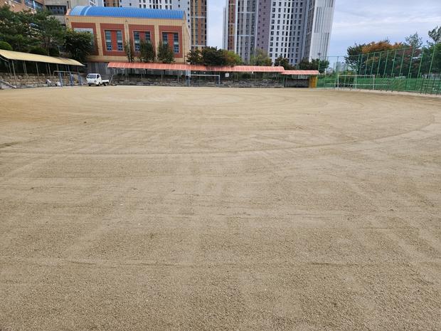 경기중학교 운동장 재설: 탁월한 전문가 케이스터디움이 해결해 줄 수 있는 문제들