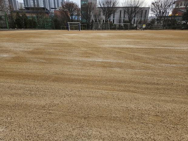 경기고등학교 운동장 관리, 전문 시공 덕분에 건강하고 안전하게!