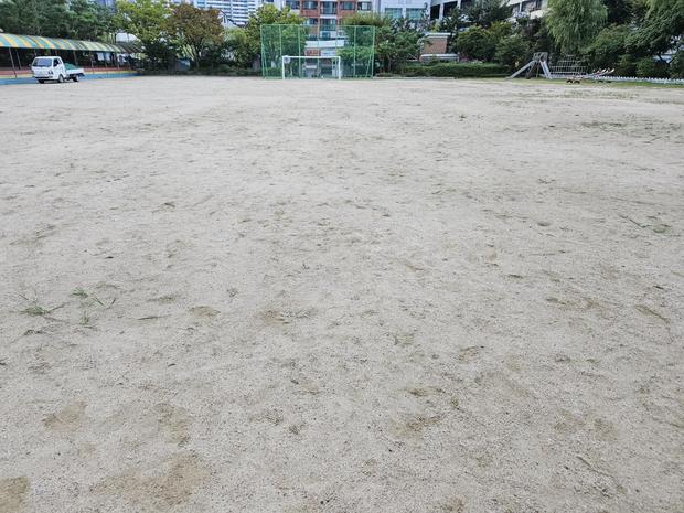 가평초등학교 운동장 마사토보충, 1년 만에 완벽하게! 전문 시공으로 안전하고 장시간 ...
