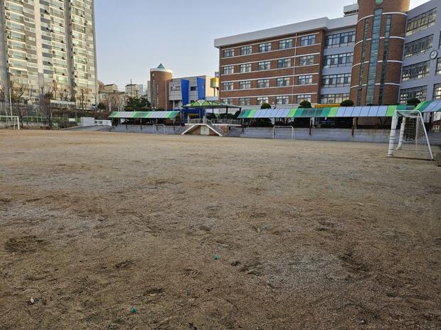 가평중학교 운동장 롤러 교체, 케이스터디움으로 안전하고 효율적인 운영!