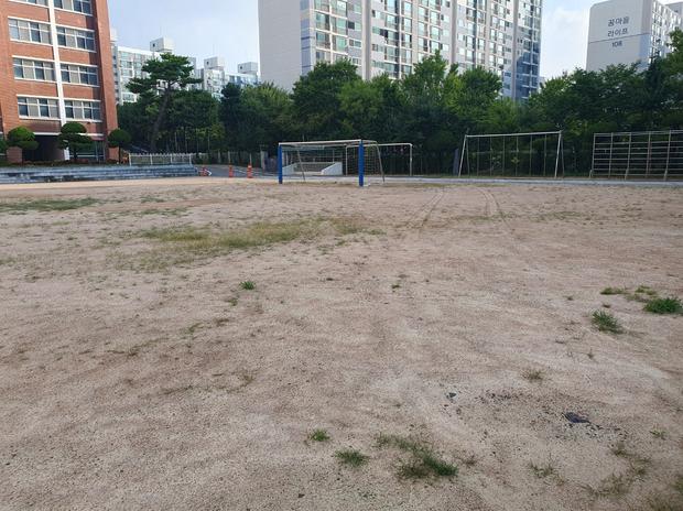 가평중학교 운동장 라인 포인트 제거: 전문 시공으로 안전하고 효율적인 운동장 구축!
