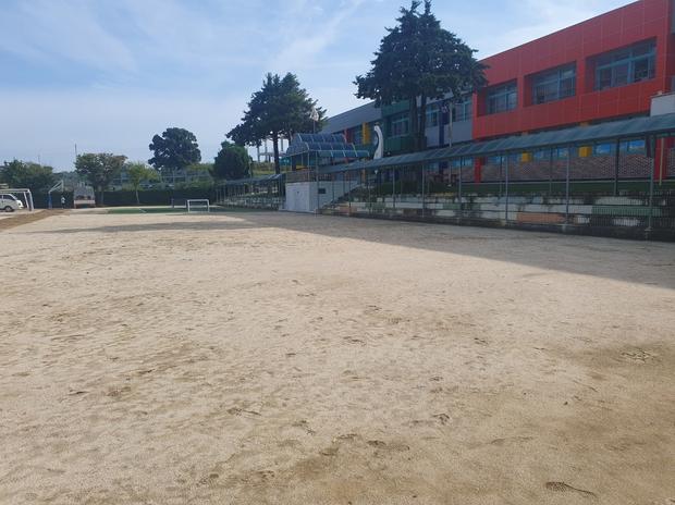 가평병설유치원운동장 잔디 제거, 이렇게 해결하면 완벽! 케이스터디움 전문 시공