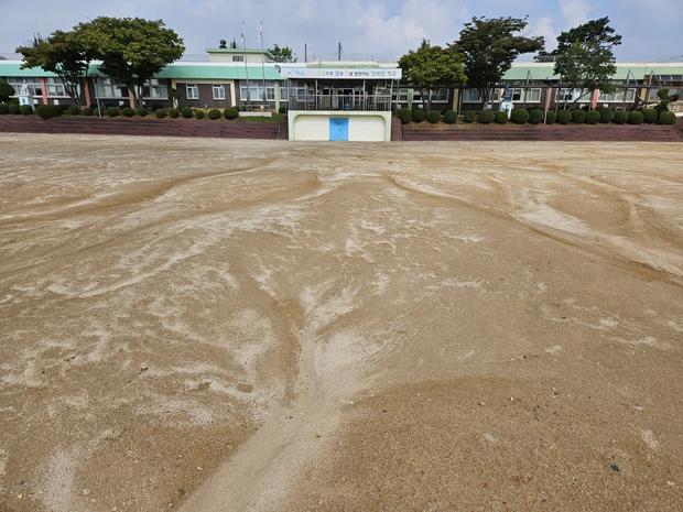 광명중학교 운동장 잡초 제거! 전문 케이스터디움,  고품질 시공으로  "좋아하는 놀이...