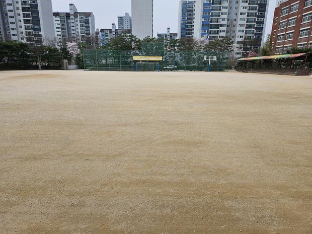 광주중학교 운동장 소금살포, 케이스터디움 전문가로 걱정 끝!