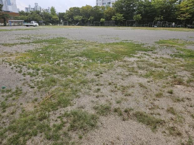 광주고등학교 운동장 소금살포! ⚡️ 전문 케이스터디움, 더 나은 운동장 만들어줄까요?