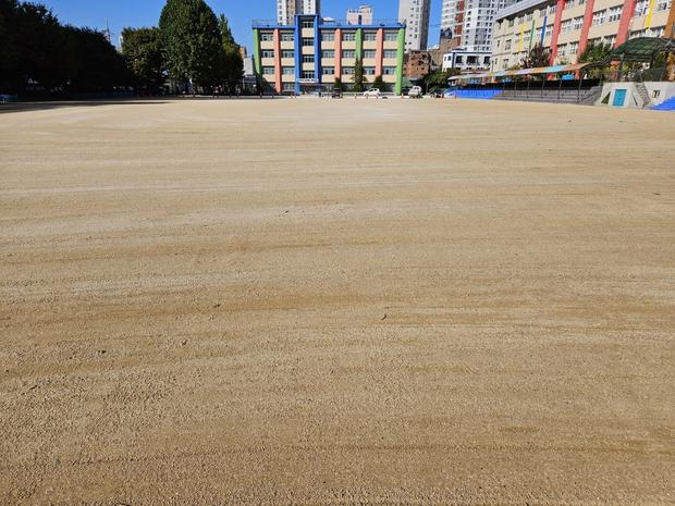 광주고등학교 운동장 잔디 제거, 케이스터디움으로 최상의 퀄리티!